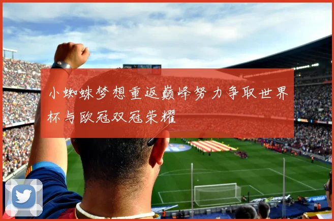 小蜘蛛梦想重返巅峰努力争取世界杯与欧冠双冠荣耀