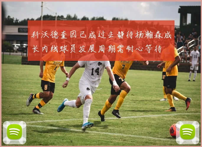 科沃德奎因已成过去静待杨瀚森成长内线球员发展周期需耐心等待